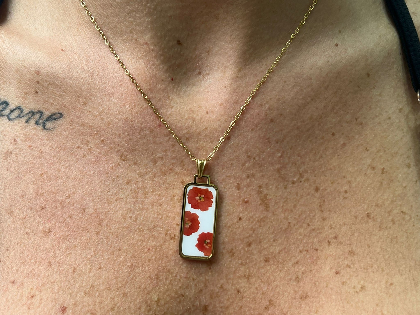 CL102+RETT/M3