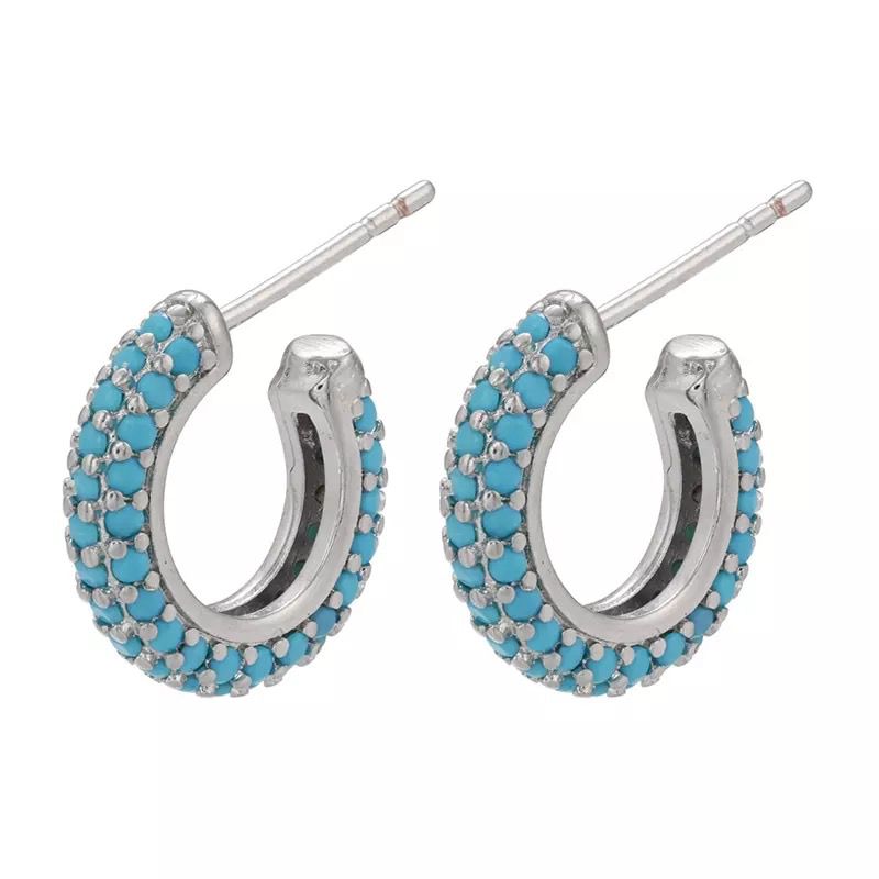 Orecchini OR42SW