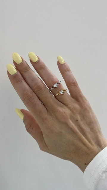 AN6x6+CT/2