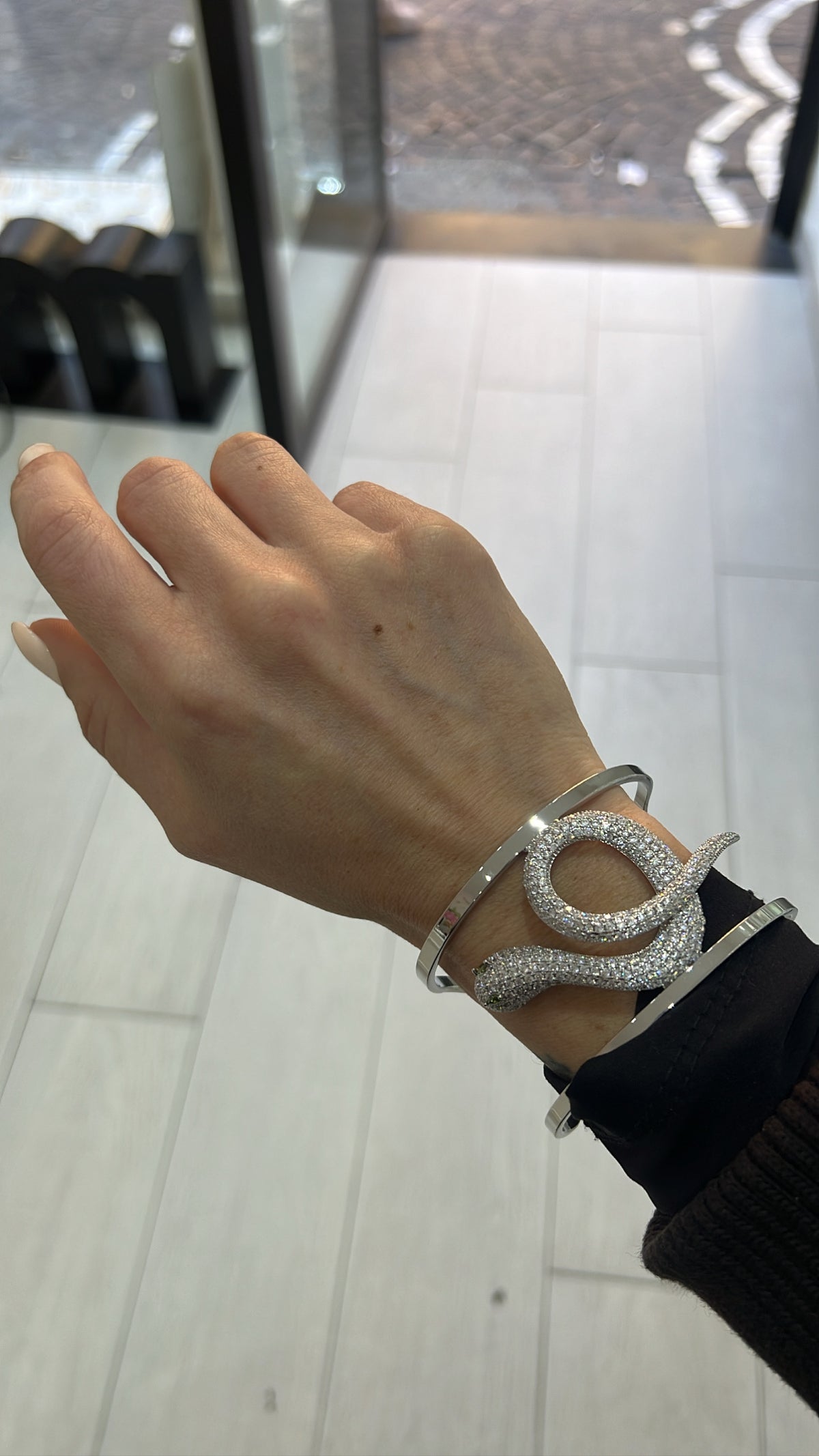 BRFRIG+SNAKE