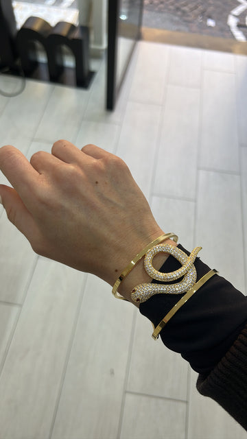 BRFRIG+SNAKE